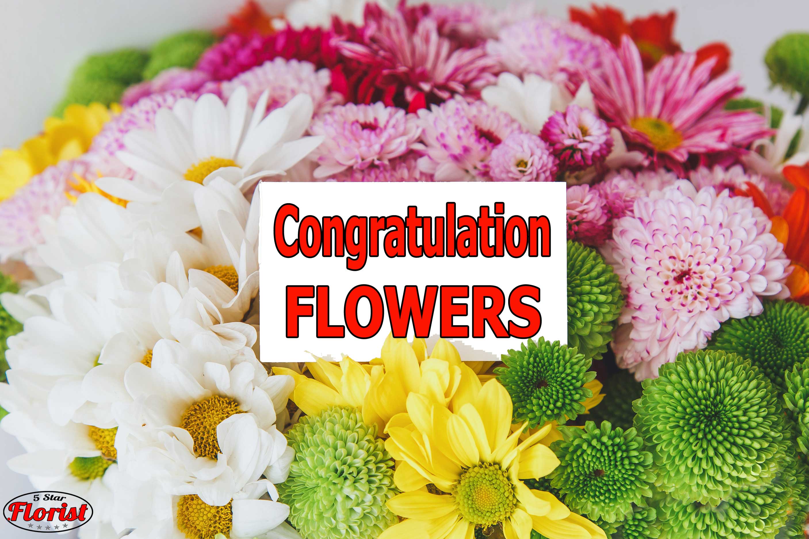 congratulations flowers North Highlands