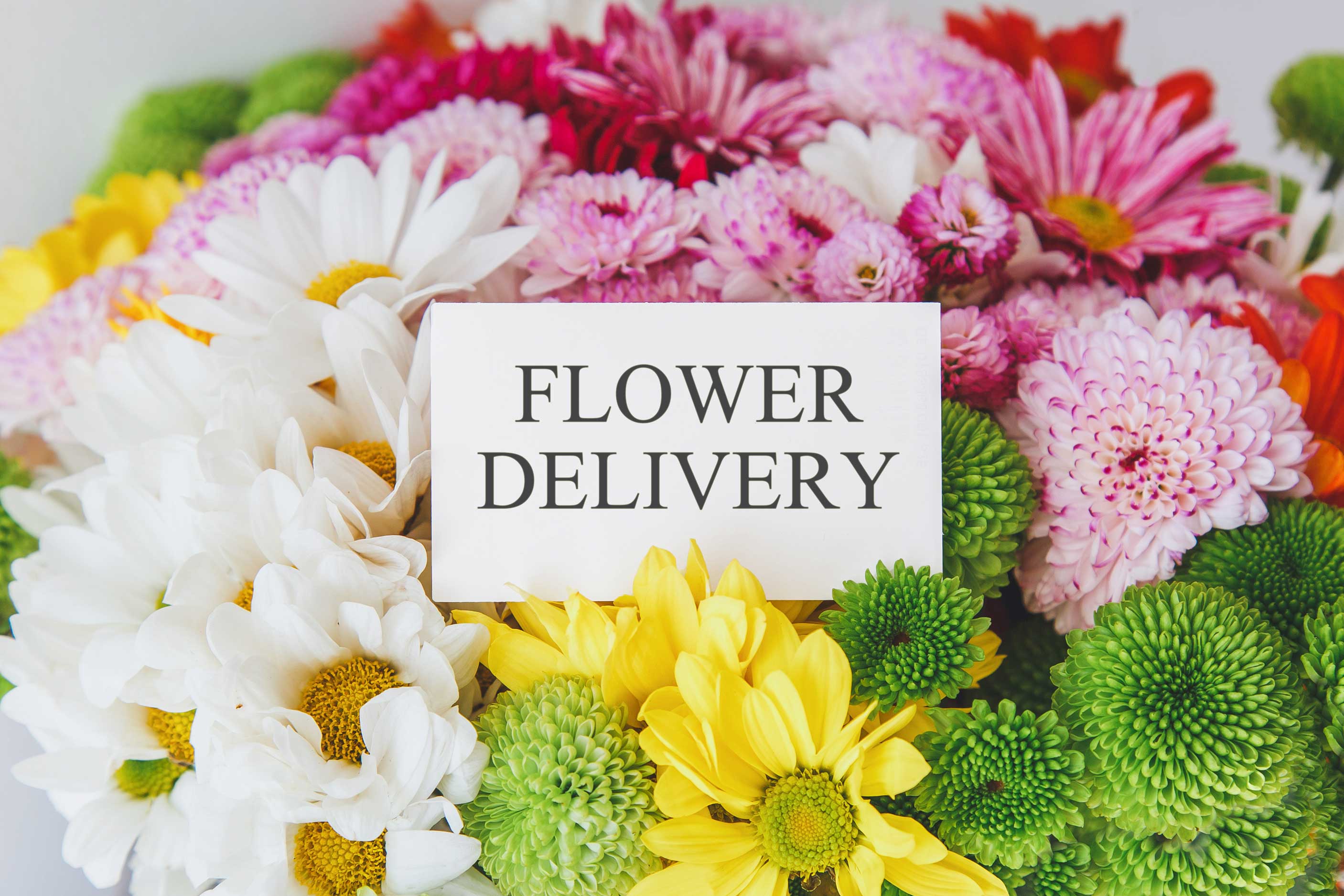 same-day-flower-delivery- North Highlands